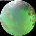 ./images/calvert/underwater/20260607/underwater20260607_141501M.jpg