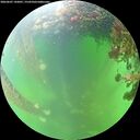 ./images/calvert/underwater/20260607/underwater20260607_142001M.jpg