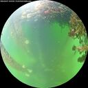 ./images/calvert/underwater/20260607/underwater20260607_142501M.jpg