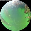 ./images/calvert/underwater/20260607/underwater20260607_144001M.jpg