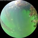 ./images/calvert/underwater/20260607/underwater20260607_145501M.jpg
