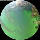 ./images/calvert/underwater/20260607/underwater20260607_150001M.jpg