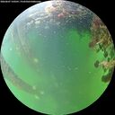 ./images/calvert/underwater/20260607/underwater20260607_150501M.jpg