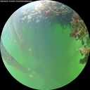 ./images/calvert/underwater/20260607/underwater20260607_153501M.jpg