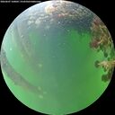 ./images/calvert/underwater/20260607/underwater20260607_160001M.jpg