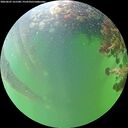 ./images/calvert/underwater/20260607/underwater20260607_161501M.jpg