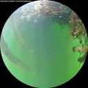 ./images/calvert/underwater/20260607/underwater20260607_162001M.jpg