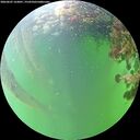 ./images/calvert/underwater/20260607/underwater20260607_163001M.jpg