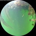 ./images/calvert/underwater/20260607/underwater20260607_163501M.jpg
