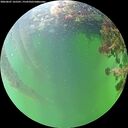 ./images/calvert/underwater/20260607/underwater20260607_165501M.jpg