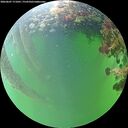 ./images/calvert/underwater/20260607/underwater20260607_171001M.jpg