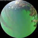 ./images/calvert/underwater/20260607/underwater20260607_172002M.jpg