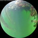 ./images/calvert/underwater/20260607/underwater20260607_173501M.jpg