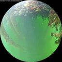 ./images/calvert/underwater/20260607/underwater20260607_175001M.jpg
