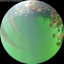 ./images/calvert/underwater/20260607/underwater20260607_175501M.jpg