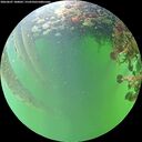 ./images/calvert/underwater/20260607/underwater20260607_180001M.jpg