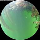 ./images/calvert/underwater/20260607/underwater20260607_180501M.jpg