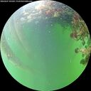 ./images/calvert/underwater/20260607/underwater20260607_181001M.jpg
