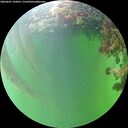 ./images/calvert/underwater/20260607/underwater20260607_182001M.jpg