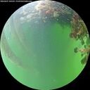 ./images/calvert/underwater/20260607/underwater20260607_182501M.jpg