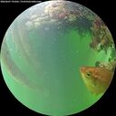 ./images/calvert/underwater/20260607/underwater20260607_191001M.jpg