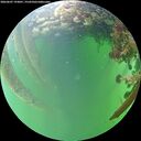 ./images/calvert/underwater/20260607/underwater20260607_193001M.jpg