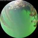 ./images/calvert/underwater/20260607/underwater20260607_194001M.jpg