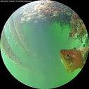 ./images/calvert/underwater/20260607/underwater20260607_194502M.jpg