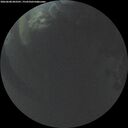 ./images/calvert/underwater/20260608/underwater20260608_043501M.jpg