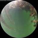 ./images/calvert/underwater/20260608/underwater20260608_054002M.jpg