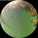 ./images/calvert/underwater/20260608/underwater20260608_061001M.jpg
