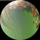 ./images/calvert/underwater/20260608/underwater20260608_061501M.jpg