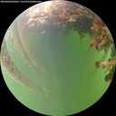 ./images/calvert/underwater/20260608/underwater20260608_062001M.jpg