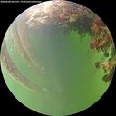 ./images/calvert/underwater/20260608/underwater20260608_062501M.jpg