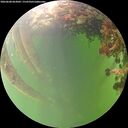 ./images/calvert/underwater/20260608/underwater20260608_063001M.jpg