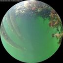 ./images/calvert/underwater/20260608/underwater20260608_064001M.jpg