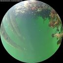 ./images/calvert/underwater/20260608/underwater20260608_064501M.jpg