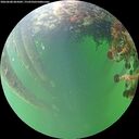 ./images/calvert/underwater/20260608/underwater20260608_065002M.jpg