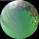 ./images/calvert/underwater/20260608/underwater20260608_065501M.jpg