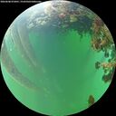 ./images/calvert/underwater/20260608/underwater20260608_072001M.jpg