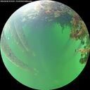 ./images/calvert/underwater/20260608/underwater20260608_072501M.jpg