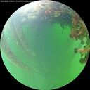 ./images/calvert/underwater/20260608/underwater20260608_073001M.jpg