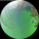 ./images/calvert/underwater/20260608/underwater20260608_073501M.jpg