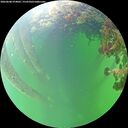 ./images/calvert/underwater/20260608/underwater20260608_074001M.jpg