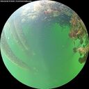 ./images/calvert/underwater/20260608/underwater20260608_075002M.jpg