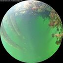 ./images/calvert/underwater/20260608/underwater20260608_075501M.jpg
