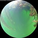 ./images/calvert/underwater/20260608/underwater20260608_080002M.jpg