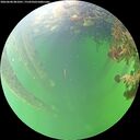 ./images/calvert/underwater/20260608/underwater20260608_081001M.jpg