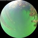 ./images/calvert/underwater/20260608/underwater20260608_081502M.jpg