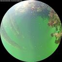 ./images/calvert/underwater/20260608/underwater20260608_082001M.jpg